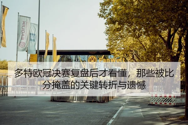 多特欧冠决赛复盘后才看懂，那些被比分掩盖的关键转折与遗憾