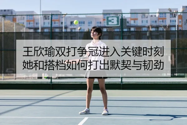 wang-xin-yu-shuang-da-zheng-guan-jin-ru-guan-jian-shi-ke-ta-he-da-dang-ru-he-da-chu-mo-qi-yu-ren-jin-3-839.jpg
